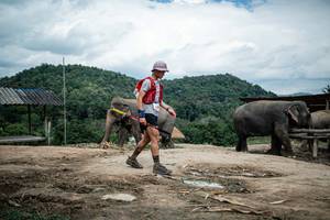 BIB: 
                            <button type="button" onclick="openModal(22424042)" class="btn btn-primary btn-sm float-right btn-popup" data-toggle="modal" data-target=".modal-high-quality">
                        <i class="fas fa-shopping-cart"></i> Add to Cart
                    </button>
                                            <button type="button" onclick="isThisMe(22424042, true)" class="btn btn-success btn-sm float-right btn-popup btn-isme hidden" data-toggle="tooltip" data-placement="bottom" title="นี่คือรูปของคุณใช่ไหม คลิกที่นี่เพื่อเอาเข้าอัลบั้ม">
                        <i class="fas fa-plus"></i> Add to album
                    </button>
                    <button type="button" onclick="isThisMe(22424042, false)" class="btn btn-warning btn-sm float-right btn-popup btn-isnotme hidden">
                        <i class="fas fa-ban"></i> Remove from album
                    </button>